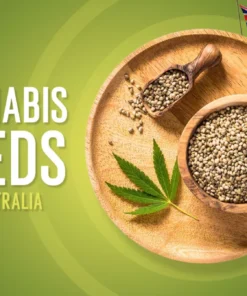 Marijuana Seeds